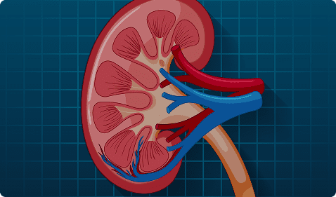 Zero-Contrast PCI Zero-Contrast PCI