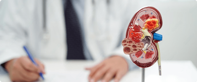 Zero-Contrast PCI Zero-Contrast PCI