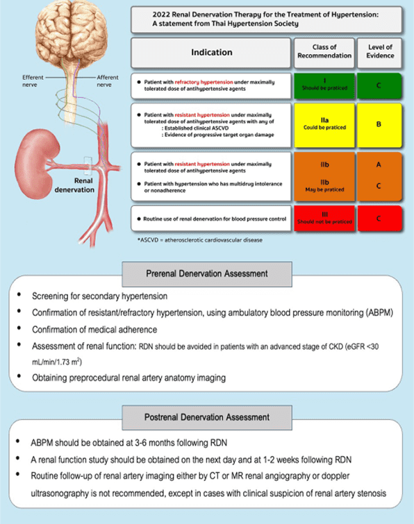Renal Denervation Therapy