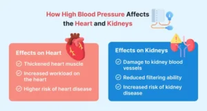 An infographic titled "How High Blood Pressure Affects the Heart and Kidneys" outlines the negative impacts of hypertension on these two organs.